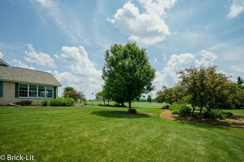 11141 W Saddle Dr, Monee, IL 60449 photo 4
