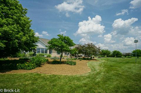 11141 W Saddle Dr, Monee, IL 60449 photo 6