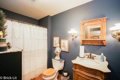 11141 W Saddle Dr, Monee, IL 60449 photo 22