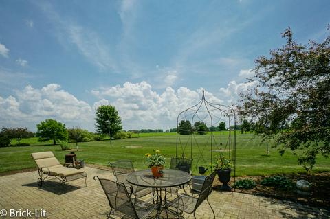 11141 W Saddle Dr, Monee, IL 60449 photo 9