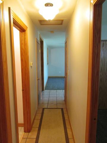 844 Post Ln, Streamwood, IL 60107 photo 15