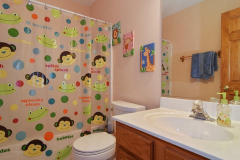693 E Nerge Rd, Roselle, IL 60172 photo 10