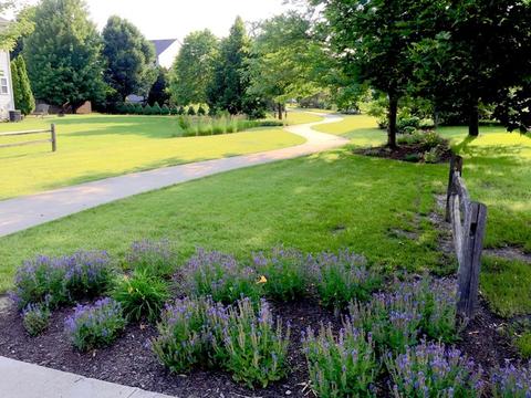 2303 Bradley Dr, Plainfield, IL 60586 photo 20