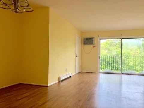 9354 Golf Rd #2A, Des Plaines, IL 60016 photo 12