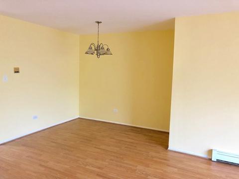 9354 Golf Rd #2A, Des Plaines, IL 60016 photo 11