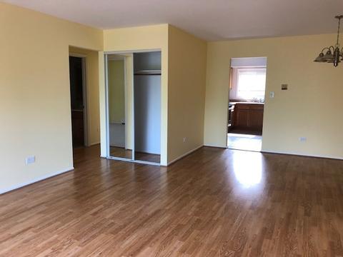 9354 Golf Rd #2A, Des Plaines, IL 60016 photo 7