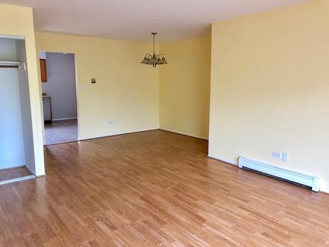 9354 Golf Rd #2A, Des Plaines, IL 60016 photo 6