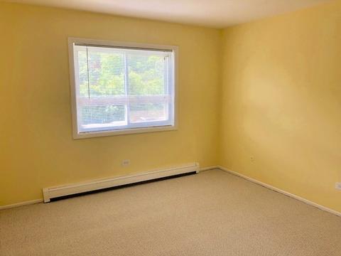9354 Golf Rd #2A, Des Plaines, IL 60016 photo 18