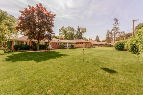 456 Cornell Ave, Des Plaines, IL 60016 photo 10