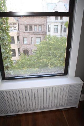 65 E Cedar St #4A, Chicago, IL 60611 photo 3