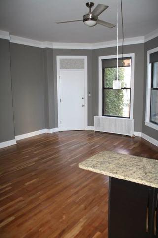 65 E Cedar St #4A, Chicago, IL 60611 photo 9