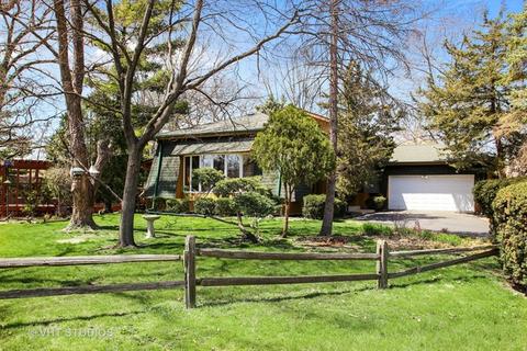 4 N220 Maple Ave, Addison, IL 60101 photo 1
