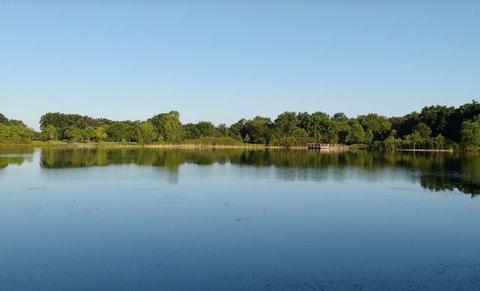 4 N220 Maple Ave, Addison, IL 60101 photo 37