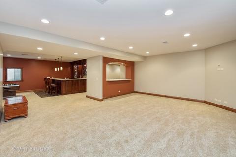 270 E May St, Elmhurst, IL 60126 photo 26