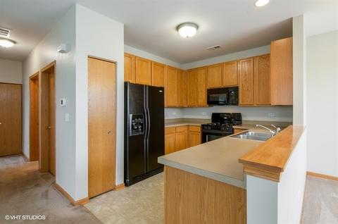 1541 Matthew Dr, Algonquin, IL 60102 photo 4