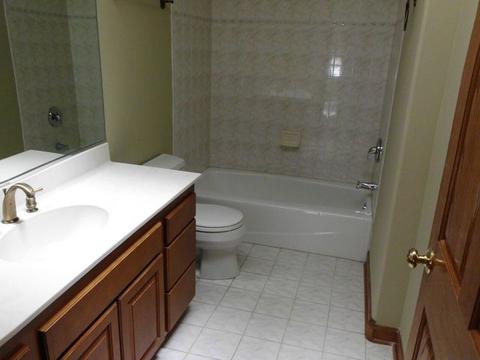 20850 Brookside Blvd, Olympia Fields, IL 60461 photo 12