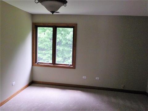 20850 Brookside Blvd, Olympia Fields, IL 60461 photo 16