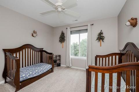 4207 Deames St, Plano, IL 60545 photo 11