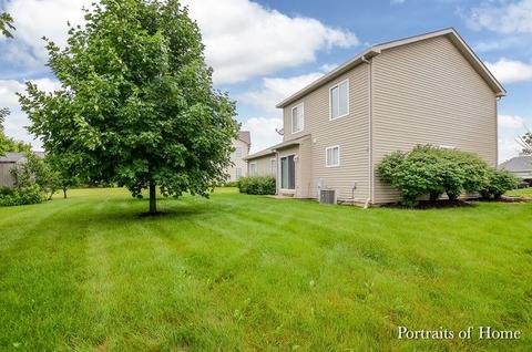 4207 Deames St, Plano, IL 60545 photo 15