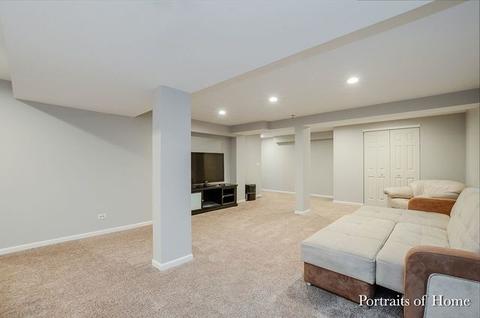 4207 Deames St, Plano, IL 60545 photo 14