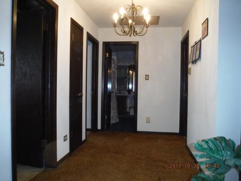 4525 Arthur Ave, Brookfield, IL 60513 photo 22