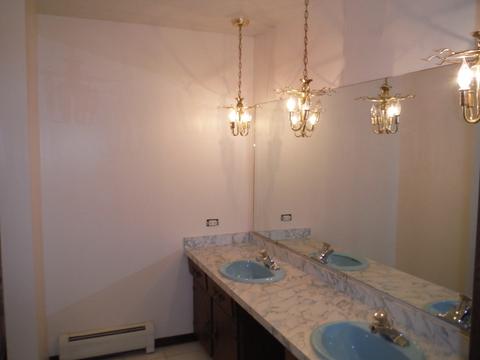 4525 Arthur Ave, Brookfield, IL 60513 photo 15