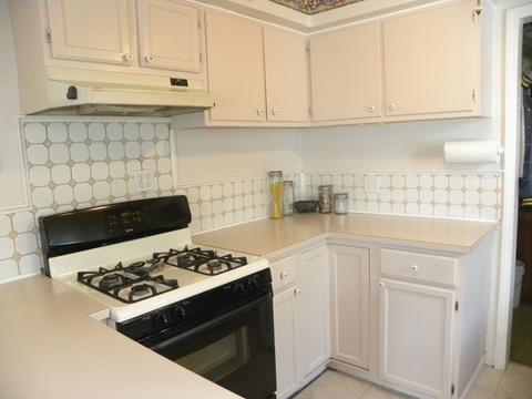 1259 Carr St, Elgin, IL 60123 photo 9