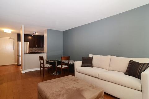 222 E Pearson St #505, Chicago, IL 60611 photo 5