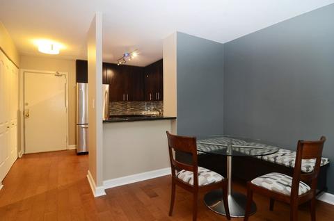 222 E Pearson St #505, Chicago, IL 60611 photo 7
