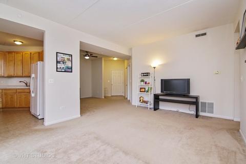 660 Prestwick Ln #207, Wheeling, IL 60090 photo 3