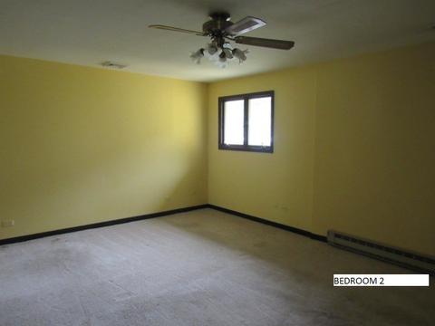 212 E Wilson St, Peotone, IL 60468 photo 10