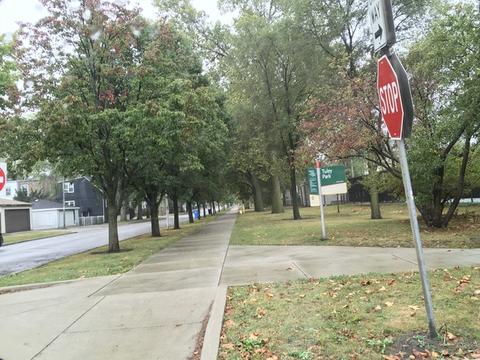 735 E 90th St, Chicago, IL 60619 photo 48