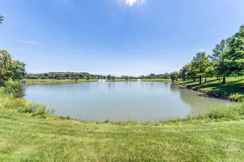 10 N Maple Ct, Addison, IL 60101 photo 23