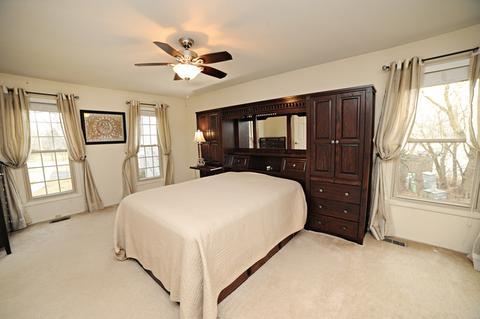 204 E Beech Dr, Schaumburg, IL 60193 photo 19