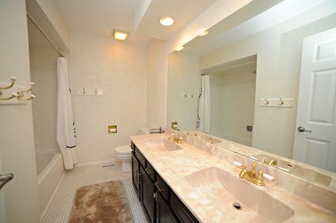 204 E Beech Dr, Schaumburg, IL 60193 photo 30