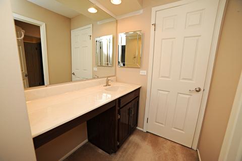 204 E Beech Dr, Schaumburg, IL 60193 photo 21