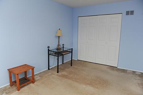 204 E Beech Dr, Schaumburg, IL 60193 photo 28