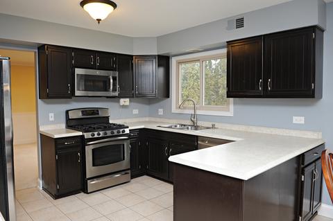 204 E Beech Dr, Schaumburg, IL 60193 photo 2