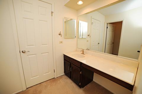 204 E Beech Dr, Schaumburg, IL 60193 photo 22
