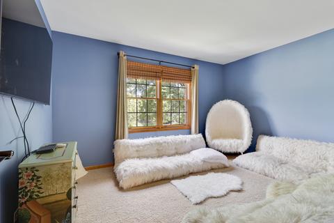2331 Buckthorn Dr, Algonquin, IL 60102 photo 19