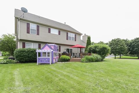 1166 Angle Tarn, West Dundee, IL 60118 photo 25