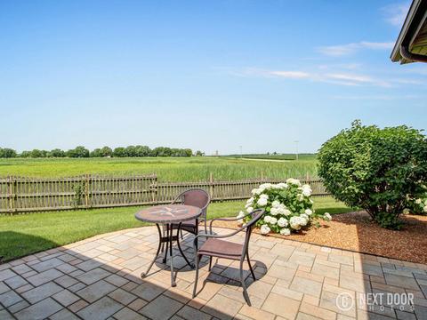 25821 W Renwick Rd, Plainfield, IL 60544 photo 22