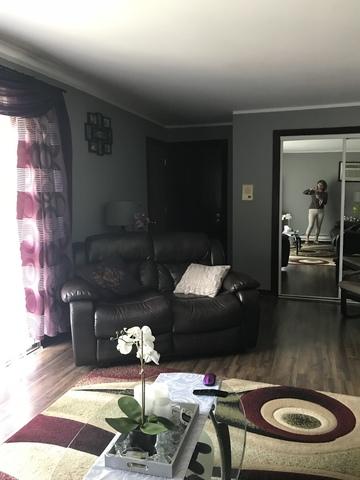 8019 Beloit Ave #2B, Bridgeview, IL 60455 photo 7