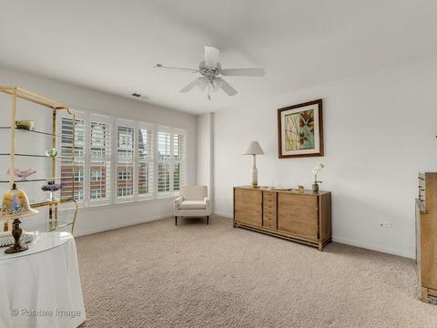 255 E Liberty Dr #508-2, Wheaton, IL 60187 photo 13