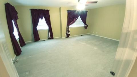 145 Sunflower Ln, Bartlett, IL 60103 photo 26