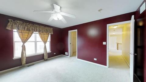 145 Sunflower Ln, Bartlett, IL 60103 photo 31