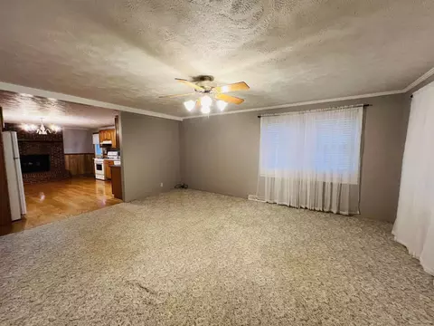 Living - 191 W Davis St, Equality, IL 62934 photo 4 of 4