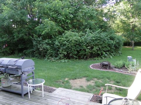 4171 Oak Tree Ln, Plainfield, IL 60586 photo 18