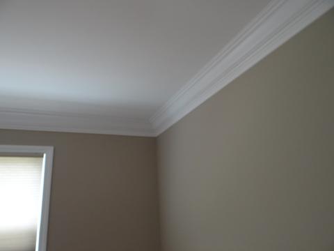 1309 Clay St, Morris, IL 60450 photo 20