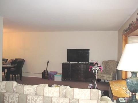 106 Lilac Ct, Rolling Meadows, IL 60008 photo 12